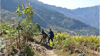 Ichchegaon, Darjeeling