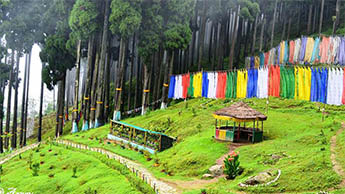 Lamahatta, Darjeeling