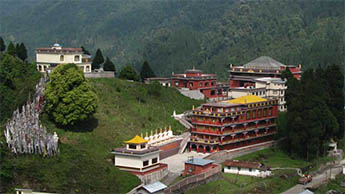 Lava, Darjeeling