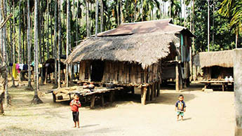 Dhupguri, Dooars