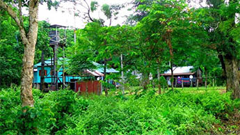Mendabari, Dooars