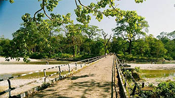 Murti, Dooars
