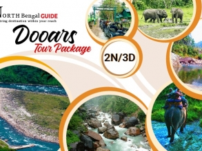 Dooars Tour Plan for 3 Days with Many Facilities